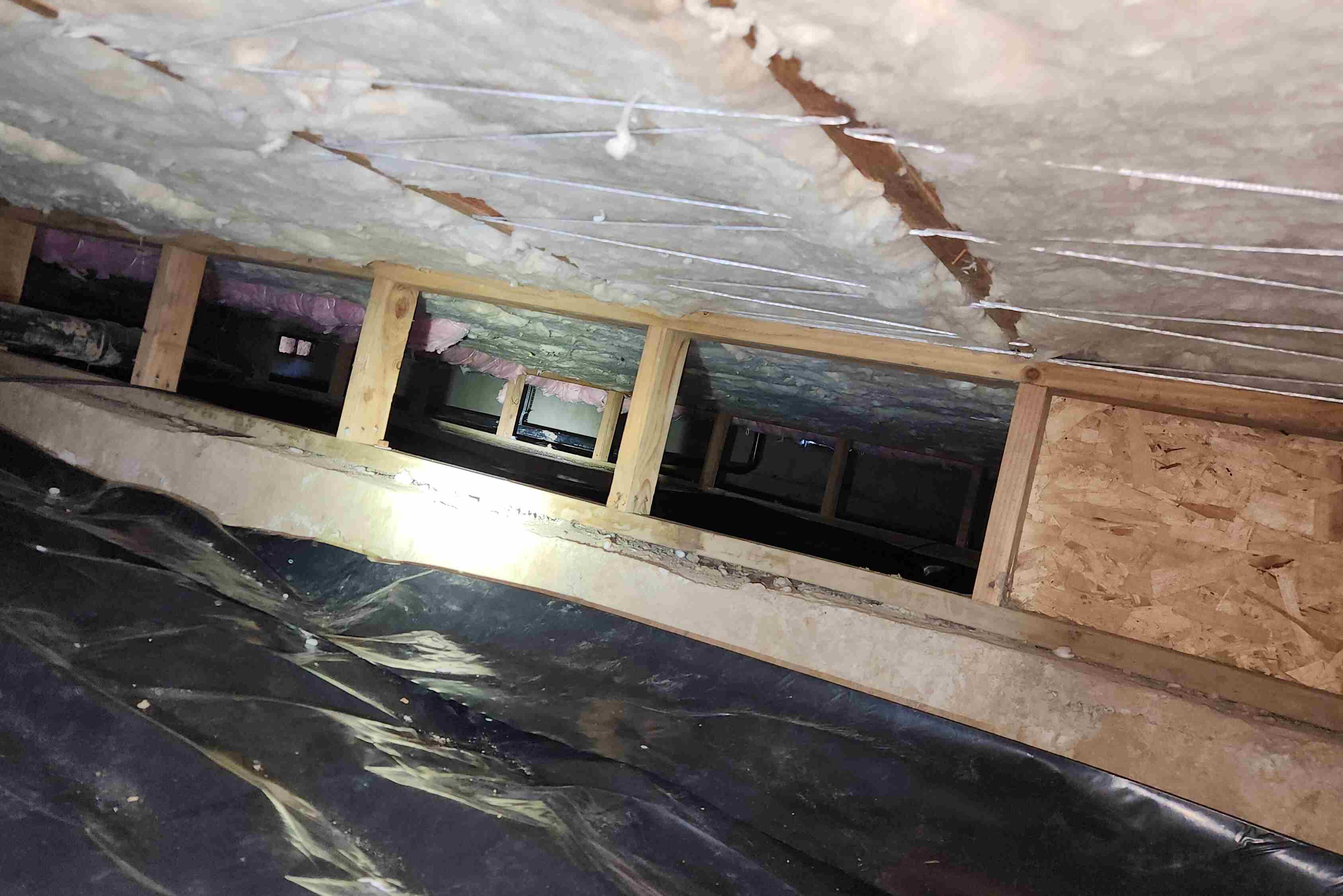 Crawlspace Insulation